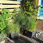 Bed & Breakfast Marguerite - D'hotes Saint-Omer (Pas-de-Calais)