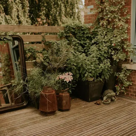 Marguerite - D'hotes فندق مبيت وإفطار سانت-أومير