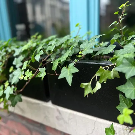 Marguerite - D'hotes Frühstückspension