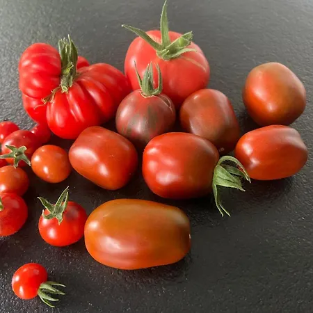 Marguerite - D'hotes Frühstückspension 3*