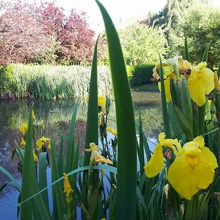 Marguerite - D'hotes 3* سانت-أومير