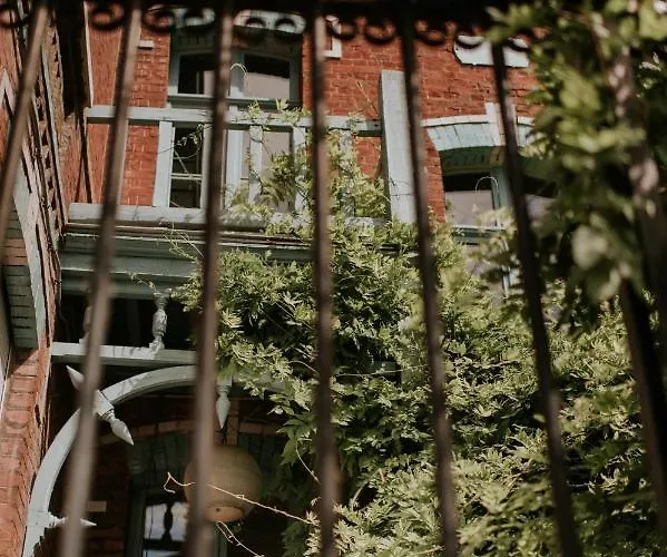 Marguerite - D'hôtes Saint-Omer (Pas-de-Calais)