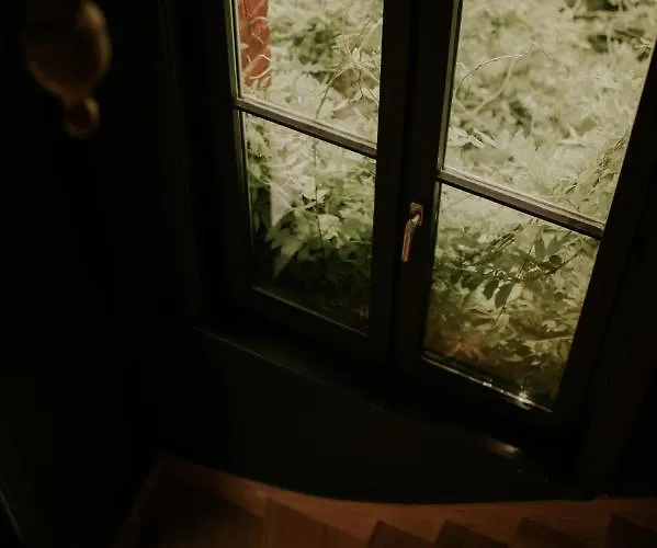 Couette-café Marguerite - D'hôtes Saint-Omer (Pas-de-Calais)