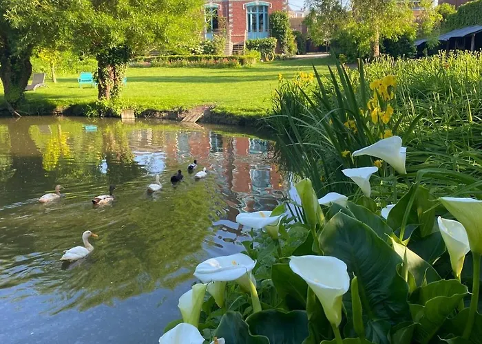 Couette-café Marguerite - D'hôtes Saint-Omer (Pas-de-Calais)