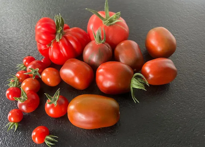 Marguerite - D'hôtes Couette-café 3*