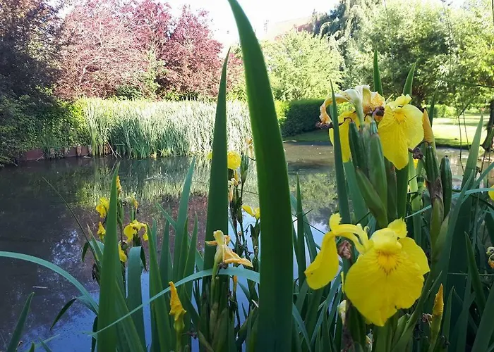 Marguerite - D'hôtes 3* Saint-Omer (Pas-de-Calais)