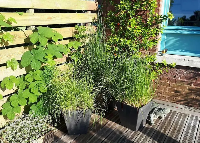 Couette-café Marguerite - D'hôtes Saint-Omer (Pas-de-Calais)